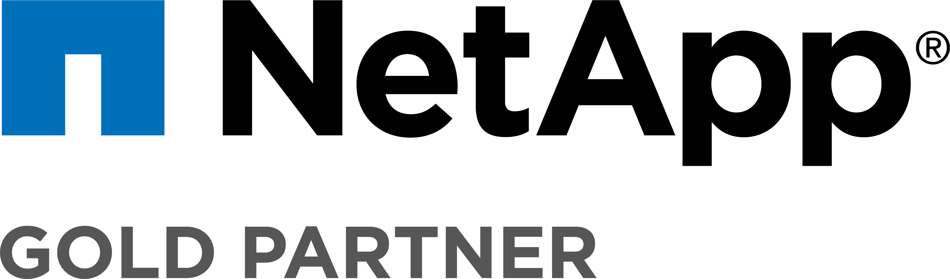 NetApp partner Elmec Informatica