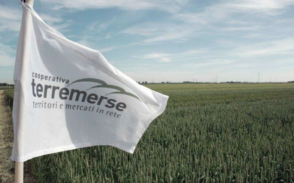 L'azienda agroalimentare Terremerse sceglie il data center di Elmec Informatica